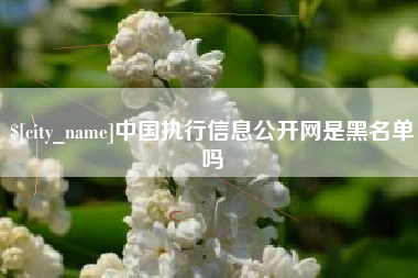 莱阳中国执行信息公开网是黑名单吗