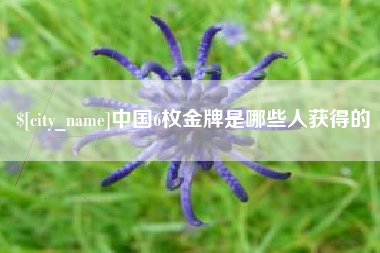 莱阳中国6枚金牌是哪些人获得的