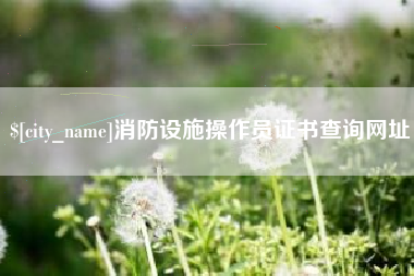 莱阳消防设施操作员证书查询网址