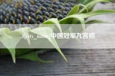 莱阳中国冠军九宫格