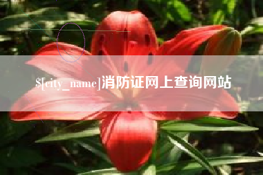 莱阳消防证网上查询网站