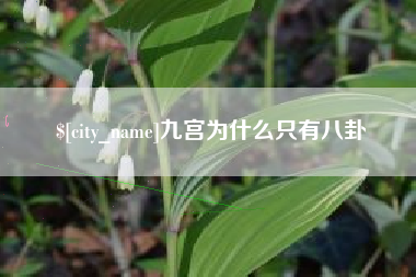 莱阳九宫为什么只有八卦