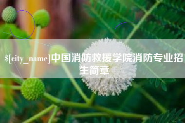 莱阳中国消防救援学院消防专业招生简章