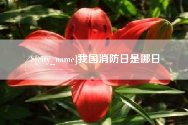 莱阳我国消防日是哪日