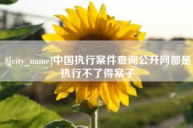 莱阳中国执行案件查询公开网都是执行不了得案子