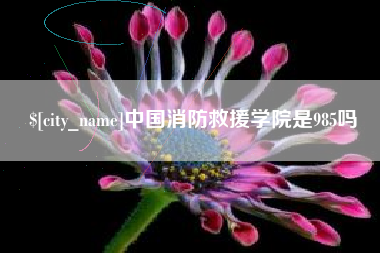莱阳中国消防救援学院是985吗