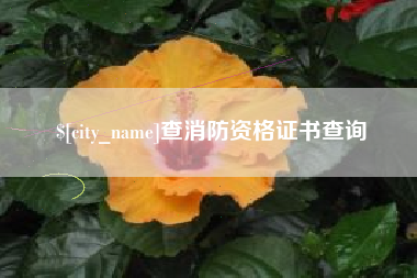 莱阳查消防资格证书查询