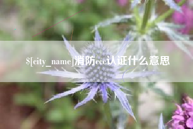 莱阳消防ccc认证什么意思