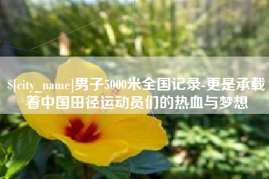 莱阳男子5000米全国记录-更是承载着中国田径运动员们的热血与梦想