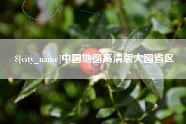 莱阳中国地图高清版大图省区