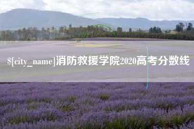 莱阳消防救援学院2020高考分数线