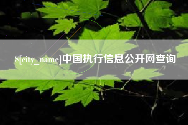 莱阳中国执行信息公开网查询