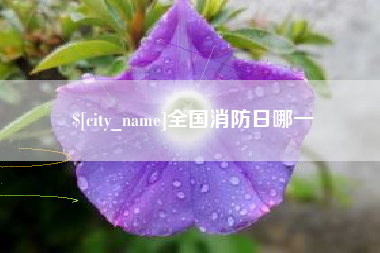 莱阳全国消防日哪一
