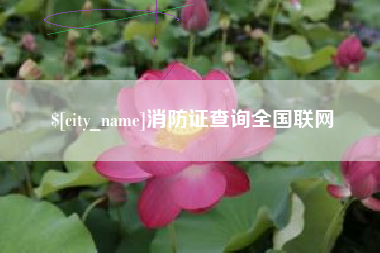 莱阳消防证查询全国联网