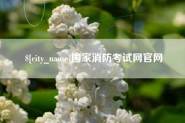 莱阳国家消防考试网官网