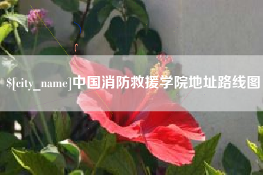 莱阳中国消防救援学院地址路线图