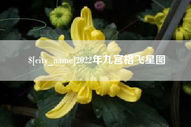 莱阳2022年九宫格飞星图