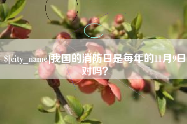 莱阳我国的消防日是每年的11月9日对吗？