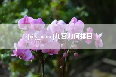 莱阳九宫如何排日