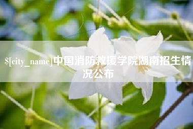 莱阳中国消防救援学院湖南招生情况公布