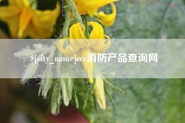 莱阳ccc消防产品查询网