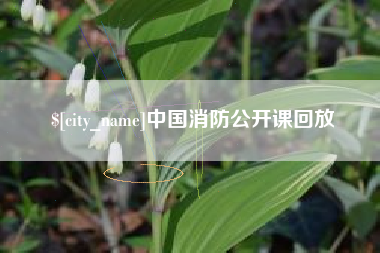 莱阳中国消防公开课回放