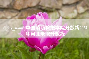 莱阳中国消防救援学院分数线2023年河北录取分数线