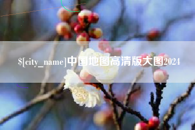 莱阳中国地图高清版大图2024