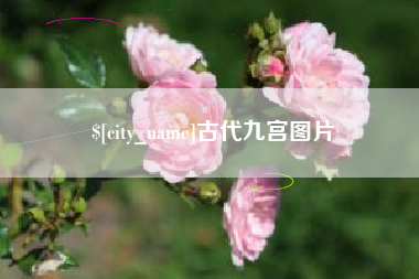 莱阳古代九宫图片