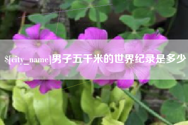 莱阳男子五千米的世界纪录是多少