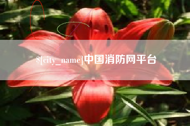 莱阳中国消防网平台