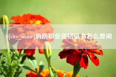 莱阳消防职业资格证书怎么查询