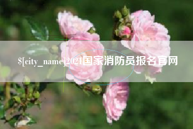 莱阳2021国家消防员报名官网