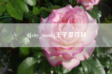 莱阳王子豪百科