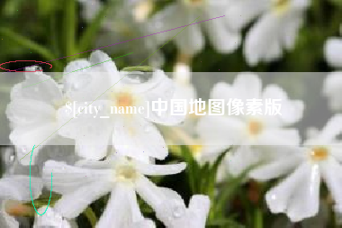 莱阳中国地图像素版