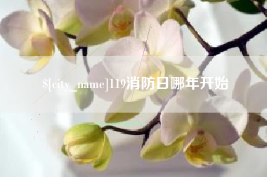 莱阳119消防日哪年开始