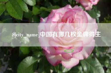 莱阳中国有哪几枚金牌得主