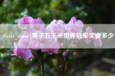 莱阳男子五千米世界冠军奖金多少