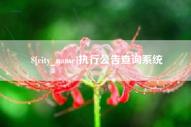 莱阳执行公告查询系统