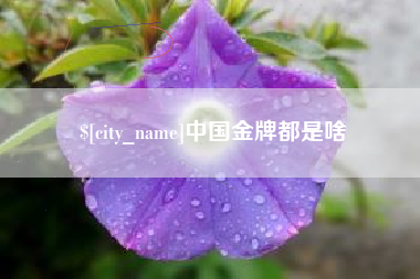 莱阳中国金牌都是啥