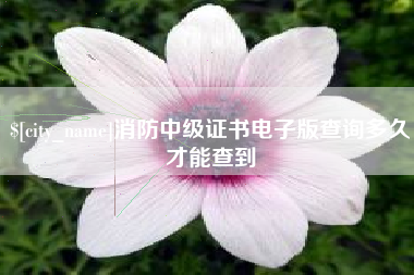 莱阳消防中级证书电子版查询多久才能查到