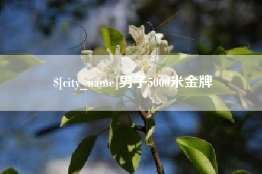莱阳男子5000米金牌