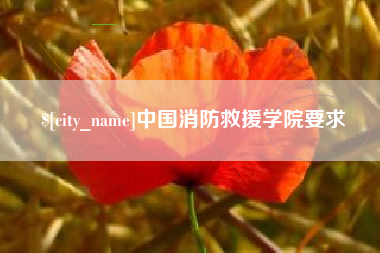 莱阳中国消防救援学院要求