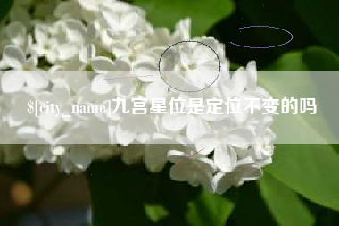 莱阳九宫星位是定位不变的吗