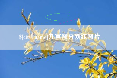 莱阳九宫图分割线图片