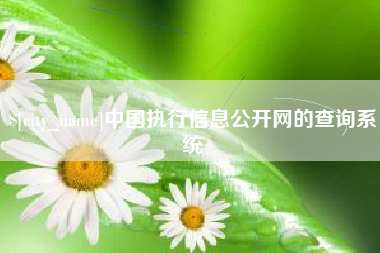 莱阳中国执行信息公开网的查询系统