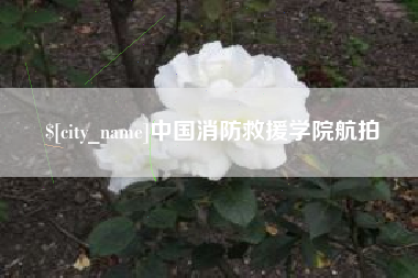 莱阳中国消防救援学院航拍