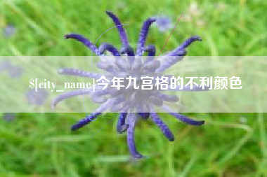莱阳今年九宫格的不利颜色