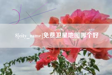 莱阳免费卫星地图哪个好