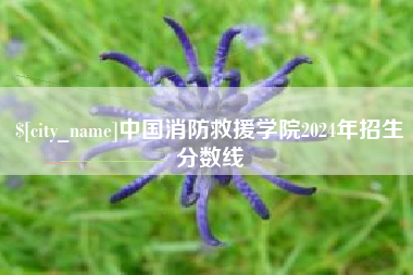 莱阳中国消防救援学院2024年招生分数线